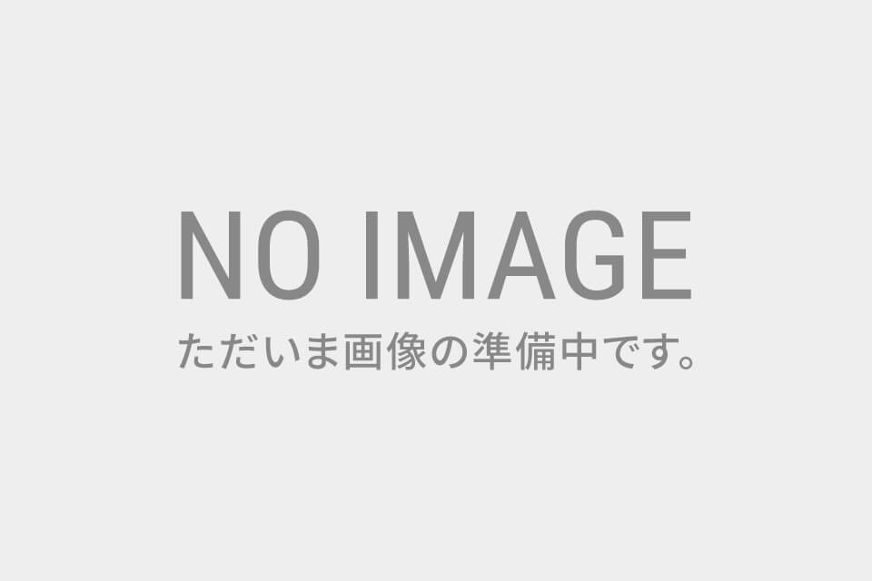 ノーイメージ